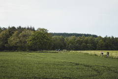 REA2281